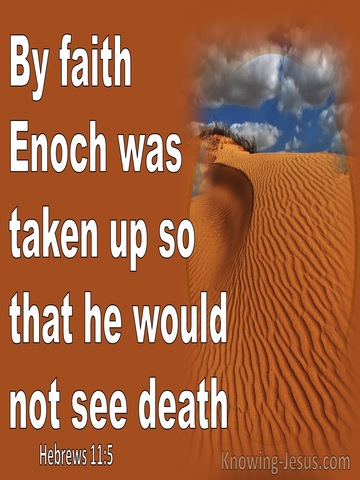Hebrews 11:5 By Faith Enoch Was Taken Up So He Would Not See Death (white)